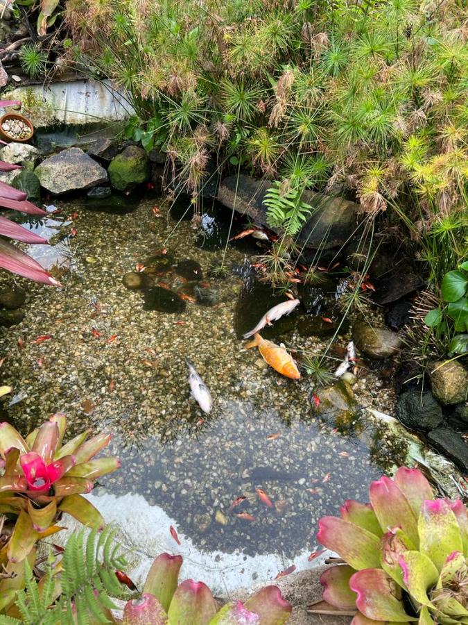 Casa, 5 quartos, 1080 m² - Foto 13